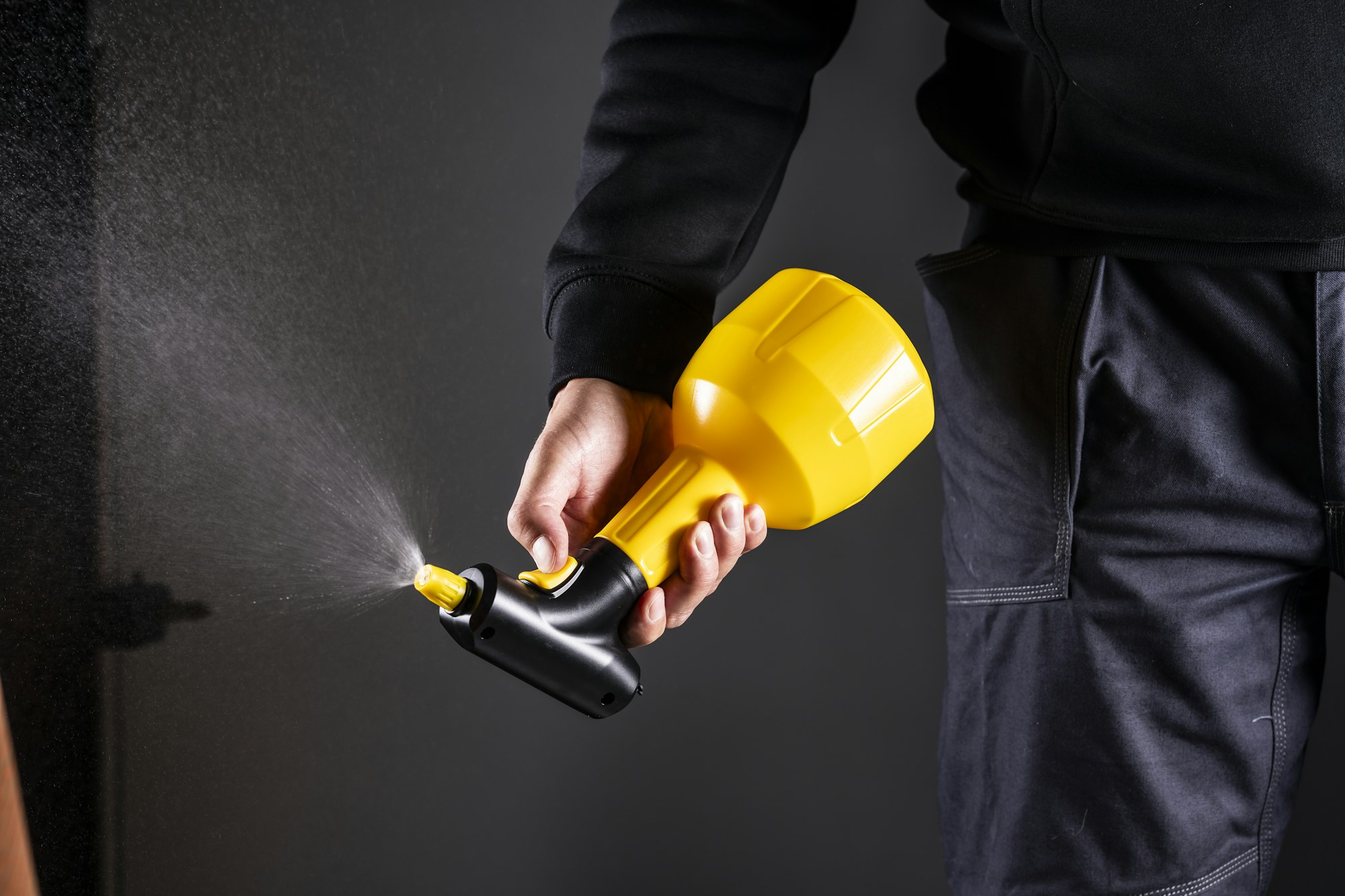 Pest Control website concept — service presentation